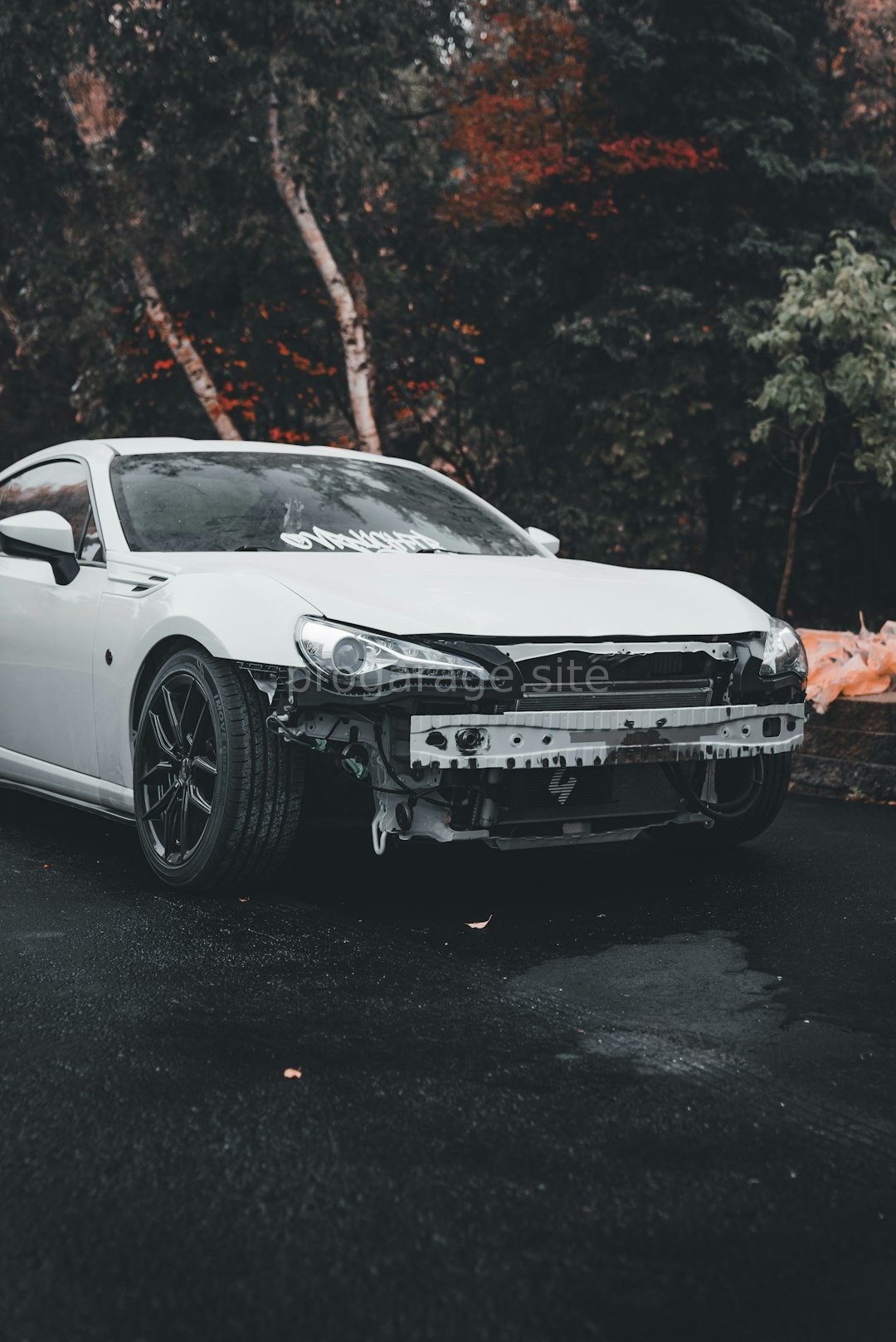Luxury car repair