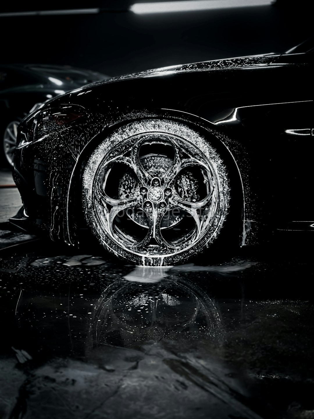 Paint Correction